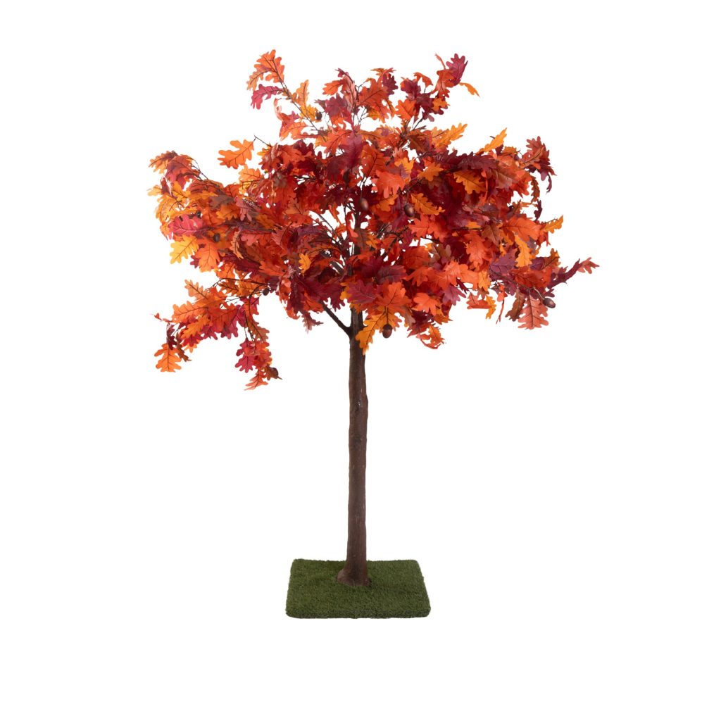 Autumn acorn tree