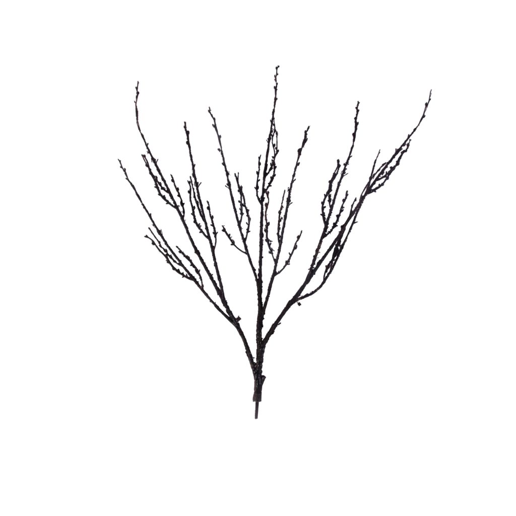Bare branch tree