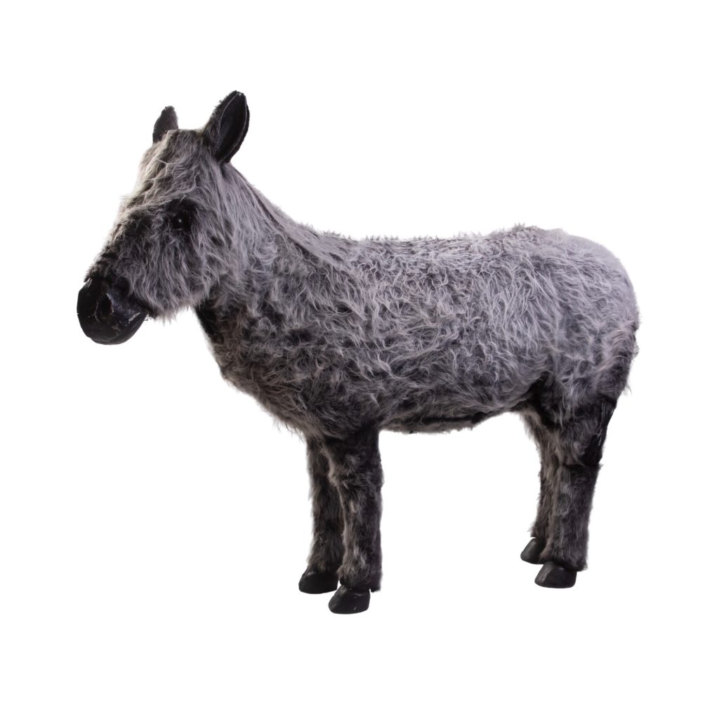 Donkey