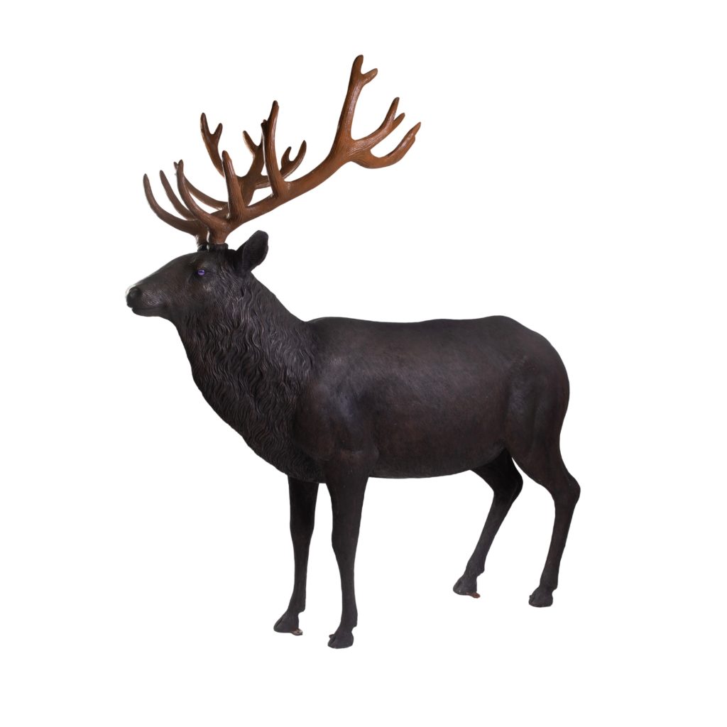 Moose