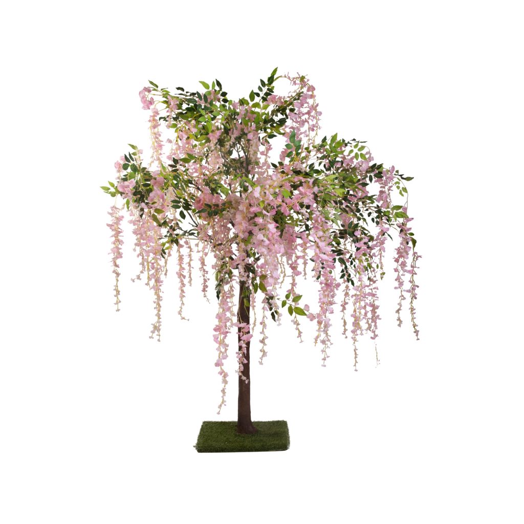 Pink wisteria tree