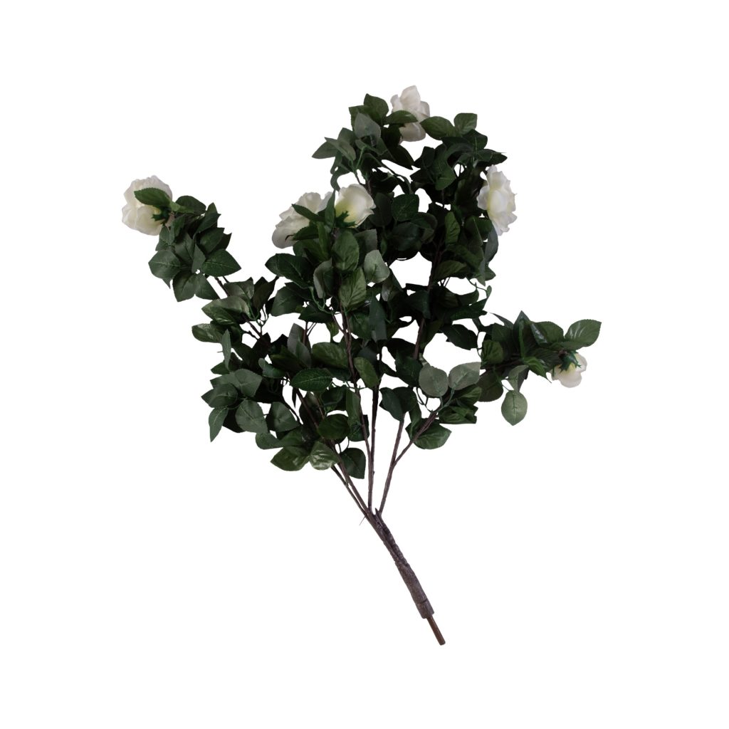 White rose tree